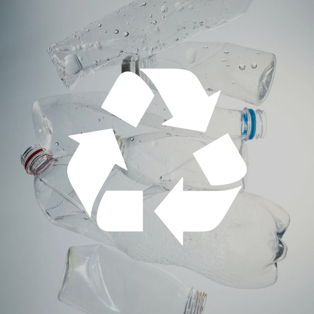 TORRAS commitment to sustainability: sleek white recycling symbol overlaid on clear plastic bottles.